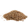 Cumin seed